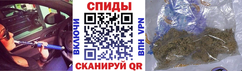 Бутират буратино  Бузулук 