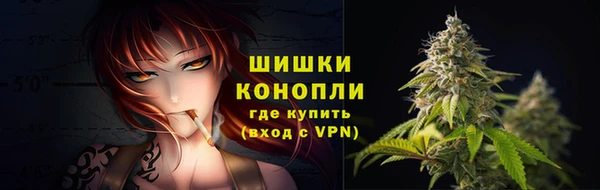 крисы Белокуриха