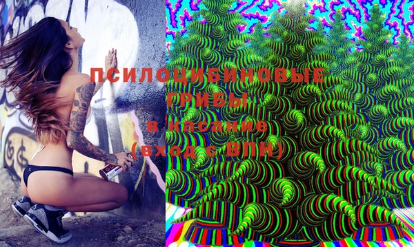 PSILOCYBIN Беломорск