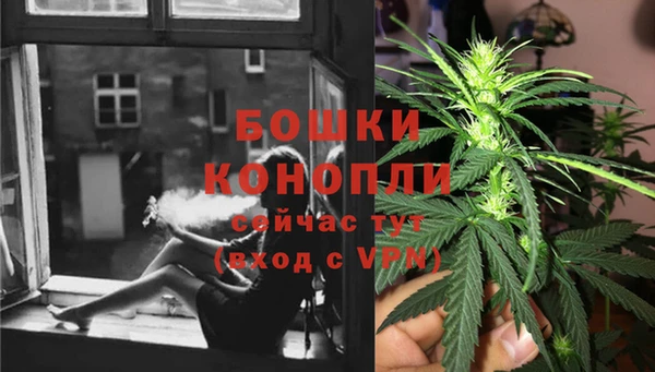 крисы Белокуриха